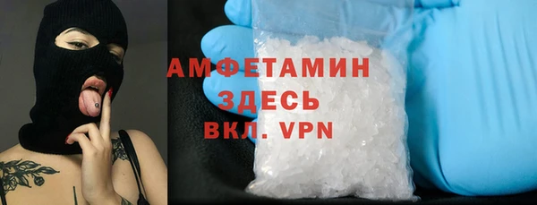 стафф Михайловск