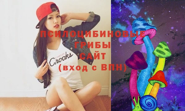 тгк Гусь-Хрустальный