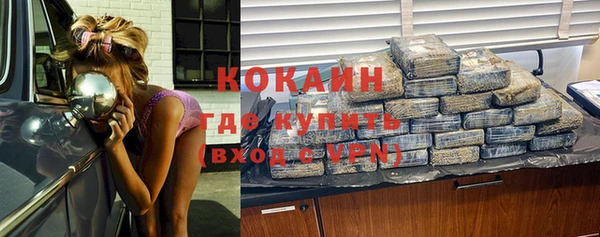 стафф Михайловск