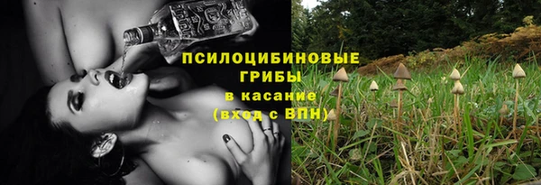 каннабис Гусев