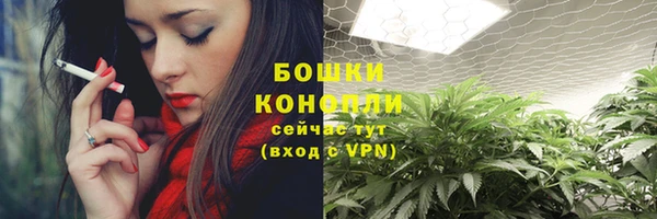 тгк Гусь-Хрустальный