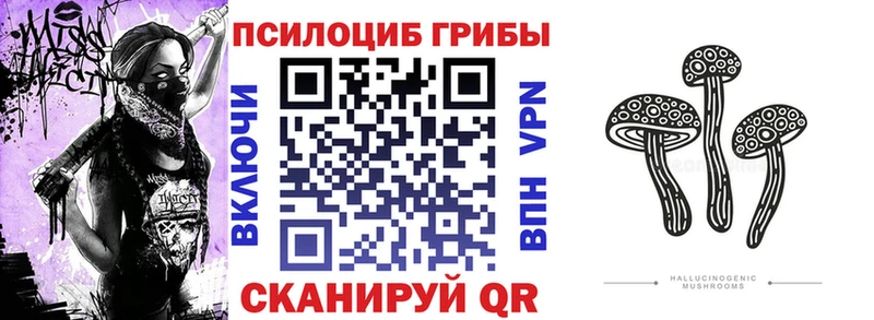 Псилоцибиновые грибы Magic Shrooms  купить  цена  Дедовск 