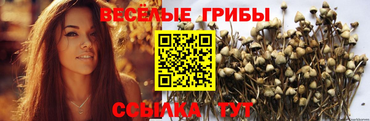 Галлюциногенные грибы Magic Shrooms Дедовск