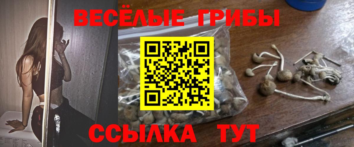 Галлюциногенные грибы прущие грибы  Вход с VPN  Дедовск 