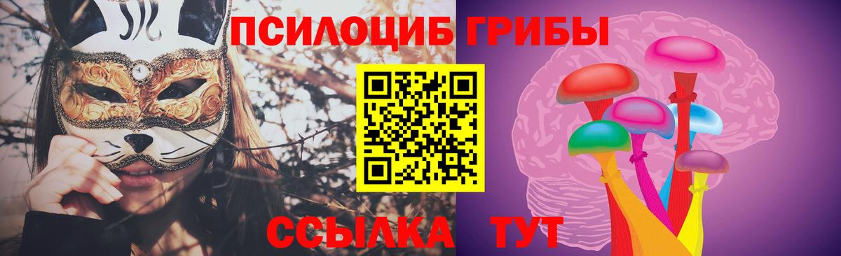 Псилоцибиновые грибы прущие грибы  Дедовск 