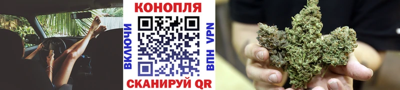 МАРИХУАНА гибрид  блэк спрут   Дедовск  где купить наркотик 
